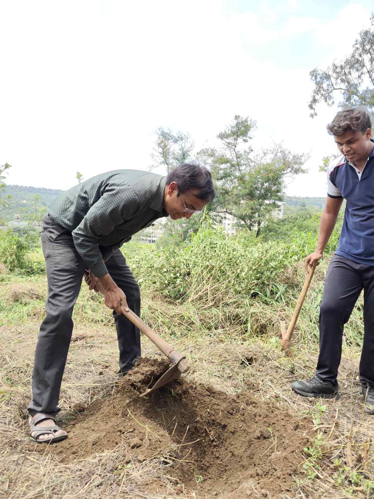Tree Plantation 2025